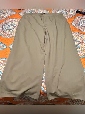 Women’s Wide leg tan dress pants